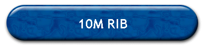 10M RIB